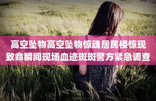 高空坠物高空坠物惊魂居民楼惊现致命瞬间现场血迹斑斑警方紧急调查