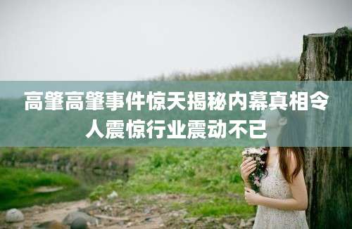 高肇高肇事件惊天揭秘内幕真相令人震惊行业震动不已