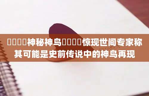 鸑鷟鹓鶵神秘神鸟鸑鷟鹓鶵惊现世间专家称其可能是史前传说中的神鸟再现