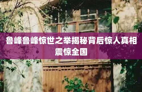 鲁峰鲁峰惊世之举揭秘背后惊人真相震惊全国