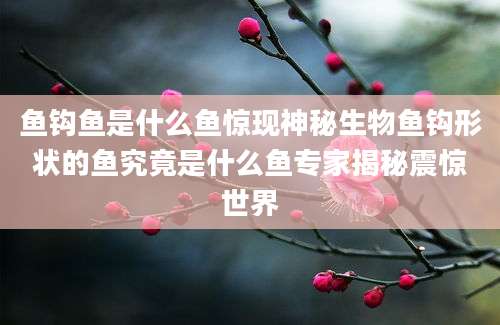 鱼钩鱼是什么鱼惊现神秘生物鱼钩形状的鱼究竟是什么鱼专家揭秘震惊世界