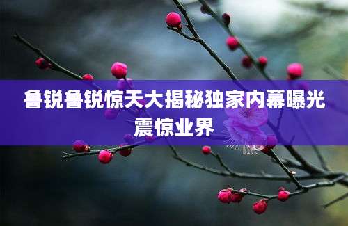 鲁锐鲁锐惊天大揭秘独家内幕曝光震惊业界