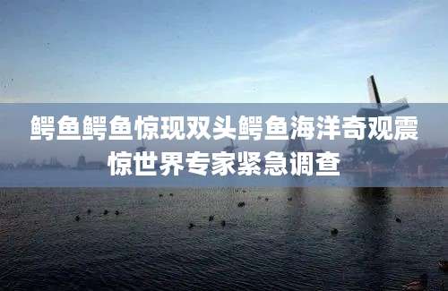 鳄鱼鳄鱼惊现双头鳄鱼海洋奇观震惊世界专家紧急调查