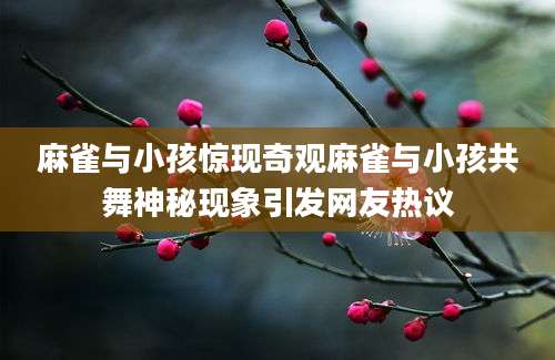 麻雀与小孩惊现奇观麻雀与小孩共舞神秘现象引发网友热议