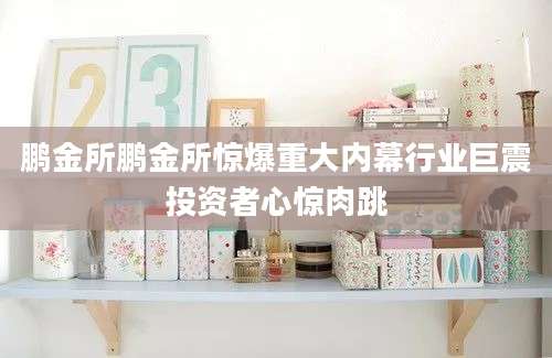鹏金所鹏金所惊爆重大内幕行业巨震投资者心惊肉跳