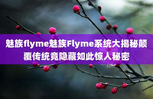 魅族flyme魅族Flyme系统大揭秘颠覆传统竟隐藏如此惊人秘密