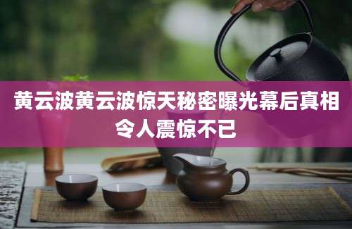 黄云波黄云波惊天秘密曝光幕后真相令人震惊不已