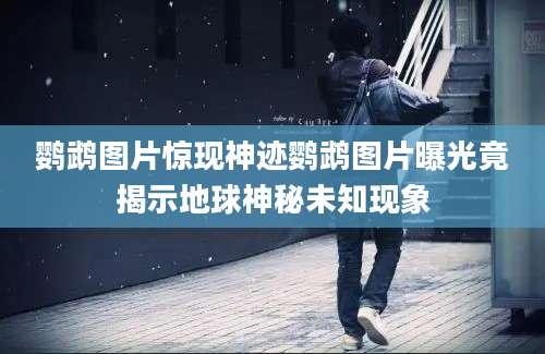鹦鹉图片惊现神迹鹦鹉图片曝光竟揭示地球神秘未知现象