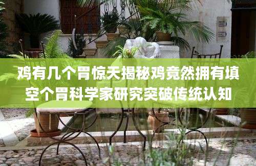 鸡有几个胃惊天揭秘鸡竟然拥有填空个胃科学家研究突破传统认知