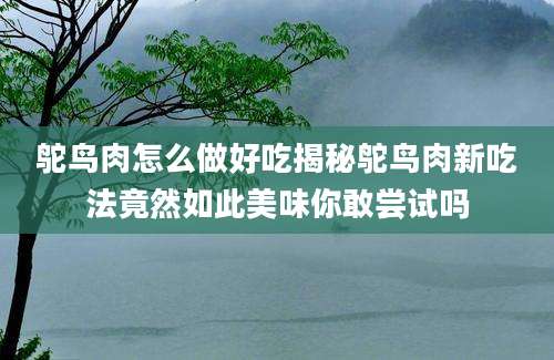 鸵鸟肉怎么做好吃揭秘鸵鸟肉新吃法竟然如此美味你敢尝试吗