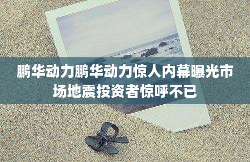 鹏华动力鹏华动力惊人内幕曝光市场地震投资者惊呼不已