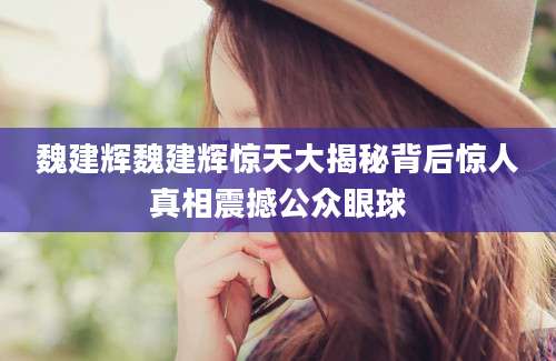 魏建辉魏建辉惊天大揭秘背后惊人真相震撼公众眼球