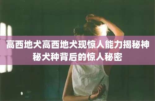 高西地犬高西地犬现惊人能力揭秘神秘犬种背后的惊人秘密