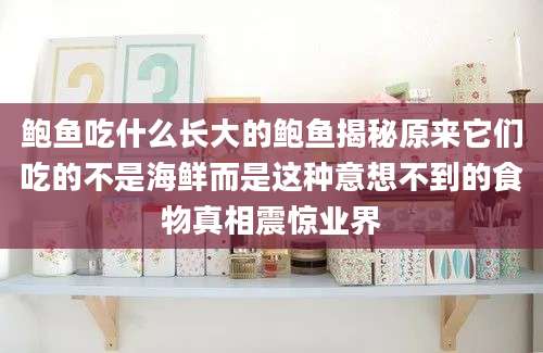 鲍鱼吃什么长大的鲍鱼揭秘原来它们吃的不是海鲜而是这种意想不到的食物真相震惊业界