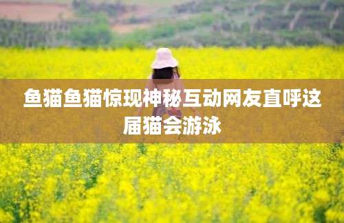 鱼猫鱼猫惊现神秘互动网友直呼这届猫会游泳