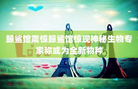 鲸鲨馆震惊鲸鲨馆惊现神秘生物专家称或为全新物种