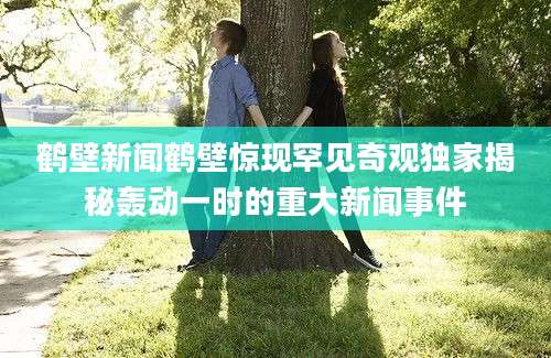 鹤壁新闻鹤壁惊现罕见奇观独家揭秘轰动一时的重大新闻事件