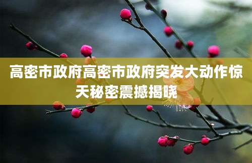 高密市政府高密市政府突发大动作惊天秘密震撼揭晓