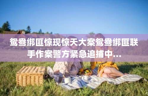 鸳鸯绑匪惊现惊天大案鸳鸯绑匪联手作案警方紧急追捕中...