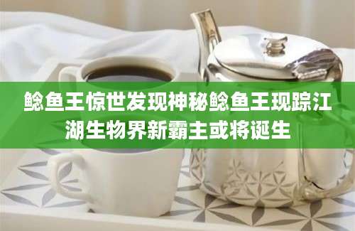 鲶鱼王惊世发现神秘鲶鱼王现踪江湖生物界新霸主或将诞生