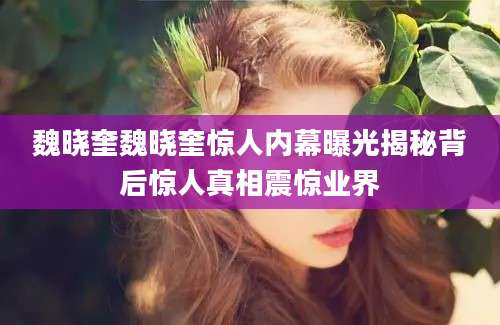 魏晓奎魏晓奎惊人内幕曝光揭秘背后惊人真相震惊业界