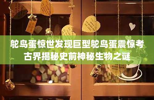 鸵鸟蛋惊世发现巨型鸵鸟蛋震惊考古界揭秘史前神秘生物之谜