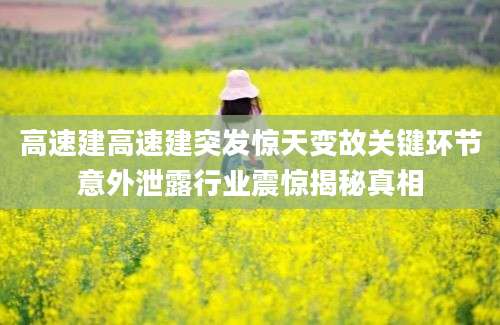 高速建高速建突发惊天变故关键环节意外泄露行业震惊揭秘真相