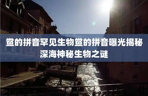 鲎的拼音罕见生物鲎的拼音曝光揭秘深海神秘生物之谜
