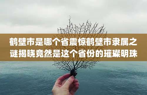 鹤壁市是哪个省震惊鹤壁市隶属之谜揭晓竟然是这个省份的璀璨明珠