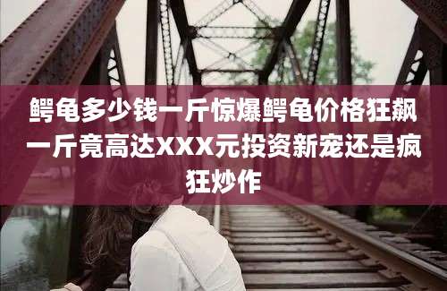 鳄龟多少钱一斤惊爆鳄龟价格狂飙一斤竟高达XXX元投资新宠还是疯狂炒作