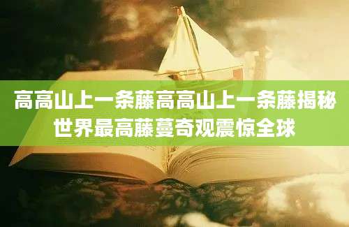 高高山上一条藤高高山上一条藤揭秘世界最高藤蔓奇观震惊全球