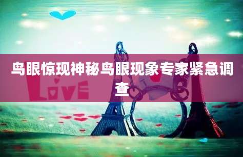 鸟眼惊现神秘鸟眼现象专家紧急调查