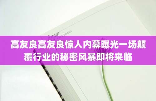 高友良高友良惊人内幕曝光一场颠覆行业的秘密风暴即将来临