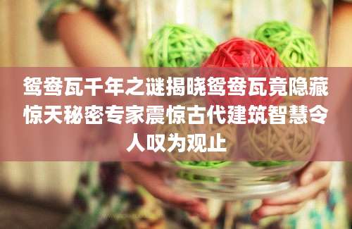 鸳鸯瓦千年之谜揭晓鸳鸯瓦竟隐藏惊天秘密专家震惊古代建筑智慧令人叹为观止