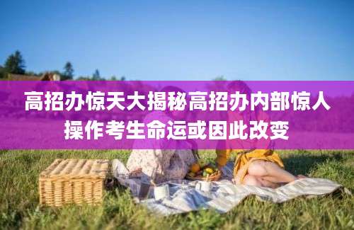 高招办惊天大揭秘高招办内部惊人操作考生命运或因此改变