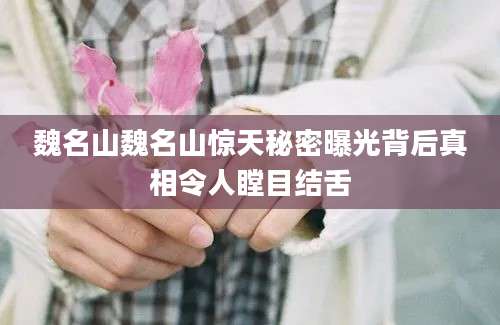 魏名山魏名山惊天秘密曝光背后真相令人瞠目结舌