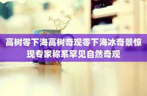 高树零下海高树奇观零下海冰奇景惊现专家称系罕见自然奇观