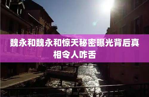 魏永和魏永和惊天秘密曝光背后真相令人咋舌