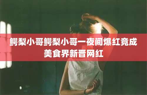 鳄梨小哥鳄梨小哥一夜间爆红竟成美食界新晋网红
