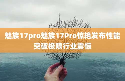 魅族17pro魅族17Pro惊艳发布性能突破极限行业震惊