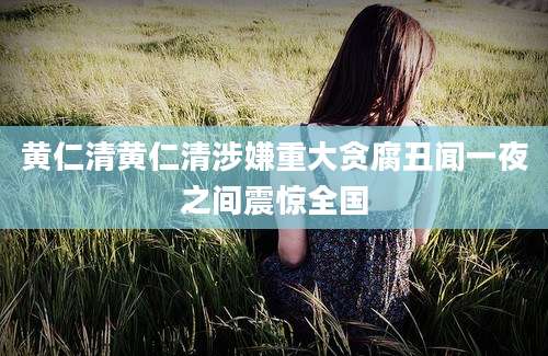 黄仁清黄仁清涉嫌重大贪腐丑闻一夜之间震惊全国