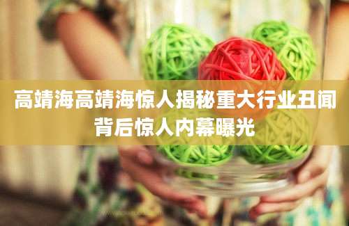 高靖海高靖海惊人揭秘重大行业丑闻背后惊人内幕曝光