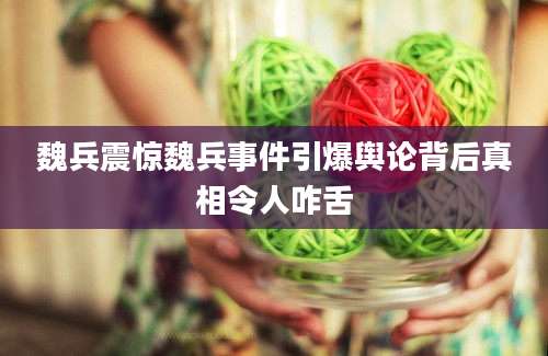 魏兵震惊魏兵事件引爆舆论背后真相令人咋舌