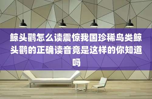 鲸头鹳怎么读震惊我国珍稀鸟类鲸头鹳的正确读音竟是这样的你知道吗