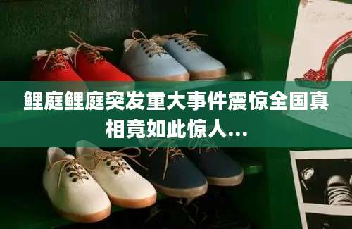 鲤庭鲤庭突发重大事件震惊全国真相竟如此惊人...