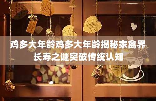 鸡多大年龄鸡多大年龄揭秘家禽界长寿之谜突破传统认知