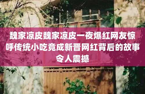魏家凉皮魏家凉皮一夜爆红网友惊呼传统小吃竟成新晋网红背后的故事令人震撼