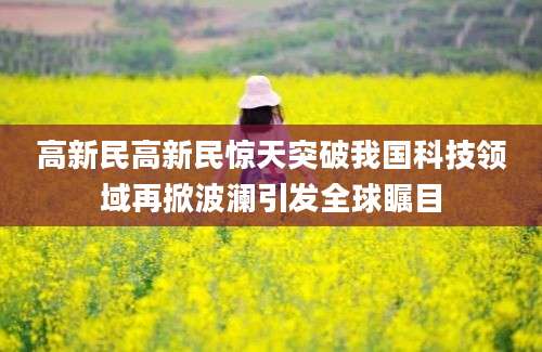 高新民高新民惊天突破我国科技领域再掀波澜引发全球瞩目