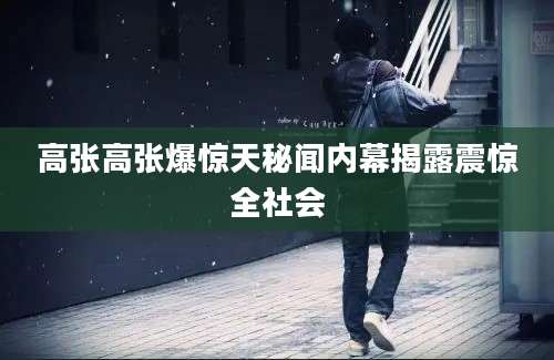 高张高张爆惊天秘闻内幕揭露震惊全社会