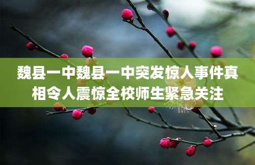 魏县一中魏县一中突发惊人事件真相令人震惊全校师生紧急关注